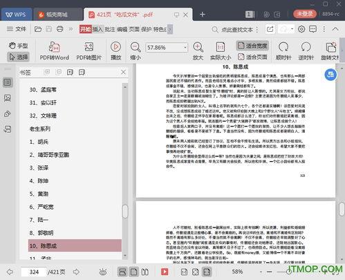 娱乐圈吃瓜大集合 pdf下载,揭秘幕后真相，深度解析热门事件